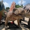 테마 파크를 위한 Sunproof 현실적 애니마트로닉스 공룡 4m Dimetrodon 동상