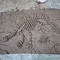 Handmade 박물관 공룡 복사, Dino 두개골 복사 젊음 나이