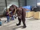 통기성이 있는 성인 크기 현실적 공룡 복장 경량