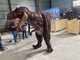 실제 크기의 커스터마이징 놀이실용 현실적인 공룡 의상