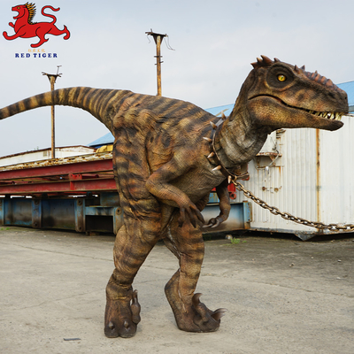 주문 애니마트로닉스 Velociraptor 복장, 인공적인 성숙한 공룡 복장 online manufacture