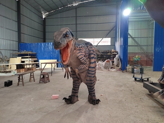 주문 실존적인 성인 진짜 공룡복 쥬라기 세계 현실적인 걷는 공룡복 online manufacture