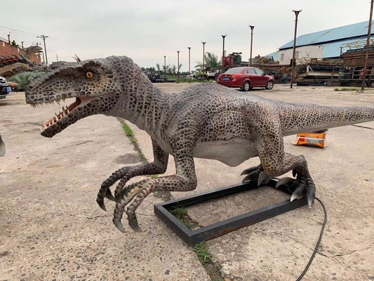 실물 크기 현실적 애니마트로닉스 공룡 Velociraptor 모형 테마 파크 공룡