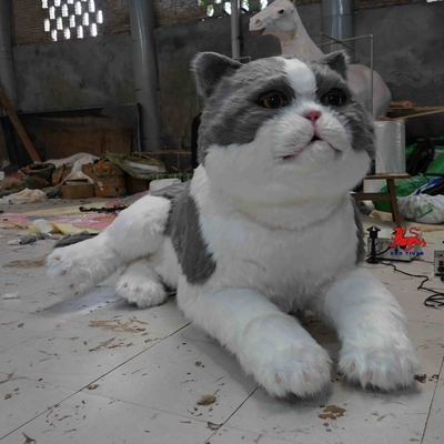이름