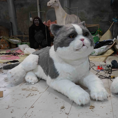 이름