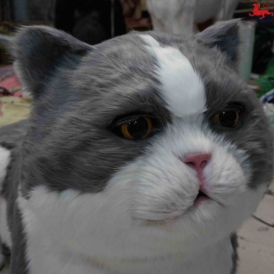 이름