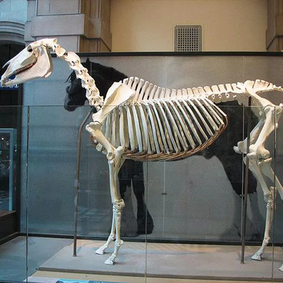 이름