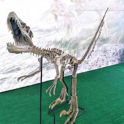 이름