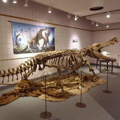 이름