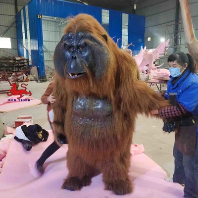 이름