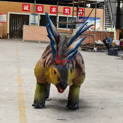 이름