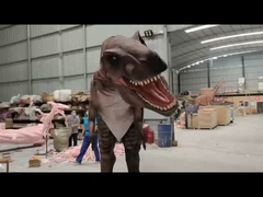 개인화 현실적인 공룡 의상 카카로돈토사우루스 모델